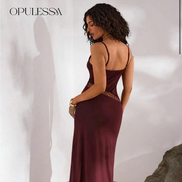 Chic Asymmetrical Burgundy Dress - Picture 3 of 5